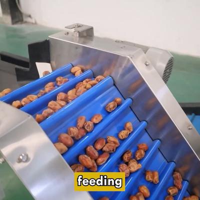 China Innovation Redefined Date Sorting Machine Standarded With Advanced Technology à venda