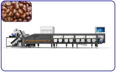 Intelligent Chestnut Grading Machine