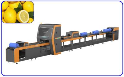 China High Speed Fruit Sorting System Intelligent 1 Channel Lemon Sorting Machine for sale