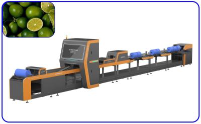 China Automatic Lemon Fruit Sorting Machine 18.65KW 4 Channel Intelligent Customized for sale