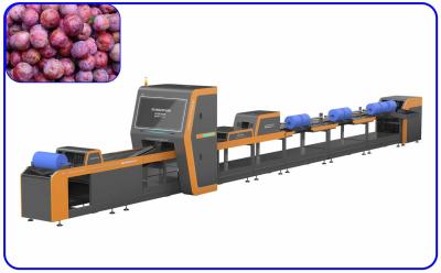 China Plum Intelligent Precise Sorting Equipment 4 Channel Electric Drive for sale