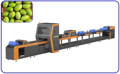 China Fast Small Grading Machine 380V 1 Channel Chinese Olive Sorting Machine for sale
