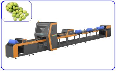 China Intelligent Automatic Olive Sorting Machine 4 Channel High Precision for sale