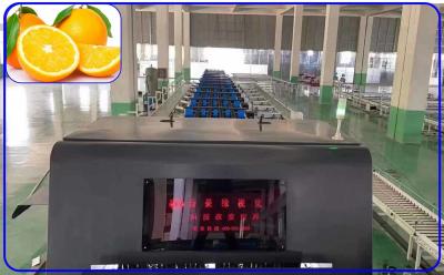 中国 理性的な機械オレンジ等級分け機械ステンレス鋼3チャネル 販売のため