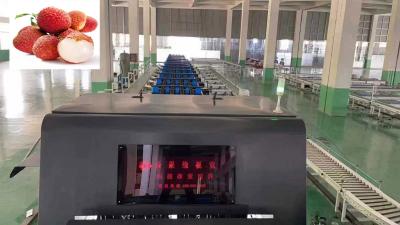 China graduadores de la fruta del canal de la clasificadora 1 de la calidad del tamaño 50Hz para el lichí en venta