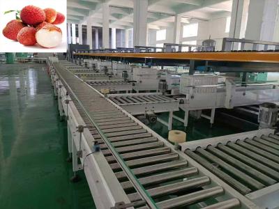 China Canal inteligente exacto 3 de la niveladora de la fruta para el lichí en venta