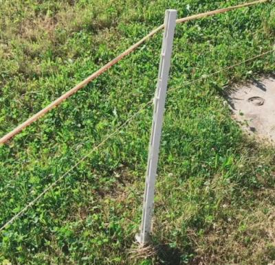 China 1.6m Plastic Step In Electric Fence Posts For Temporary Fence for sale