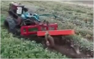 China Peanut Harvester for  Walking Tractor 8hp, 9hp, 10hp, 12hp Multi-Purpose 2 Wheel Farm Hand Walking Tractor for sale