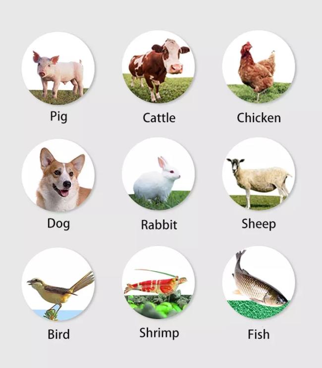 350-450kg/Hour Animal Poultry Fish Shrimp Hen Chicken Fowl Feed Pellet Machine