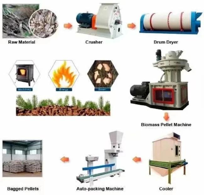 Vertical Ring Die Pellet Machine
