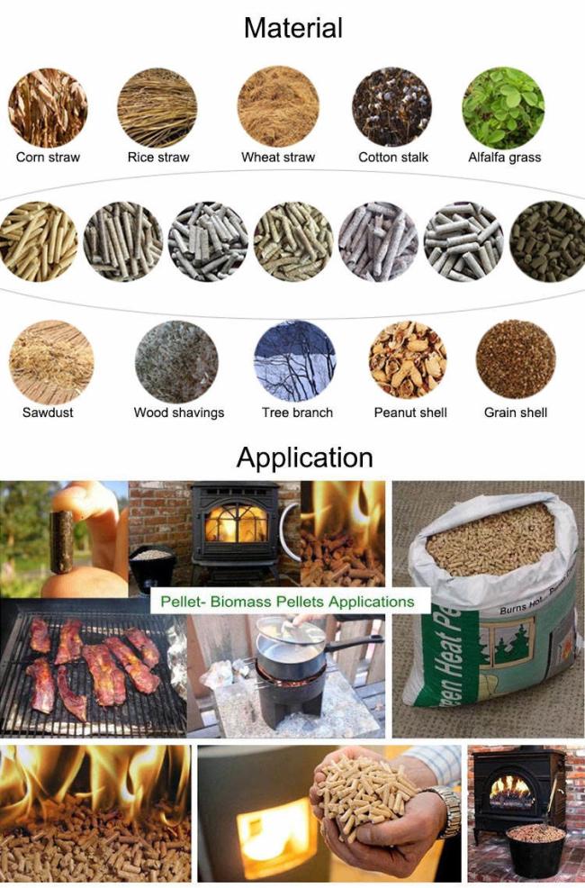 Biomass Wood Sawdust Rice Husk Straw Wood Pellet Mill Pelletizer Machine Pellets Making Machine