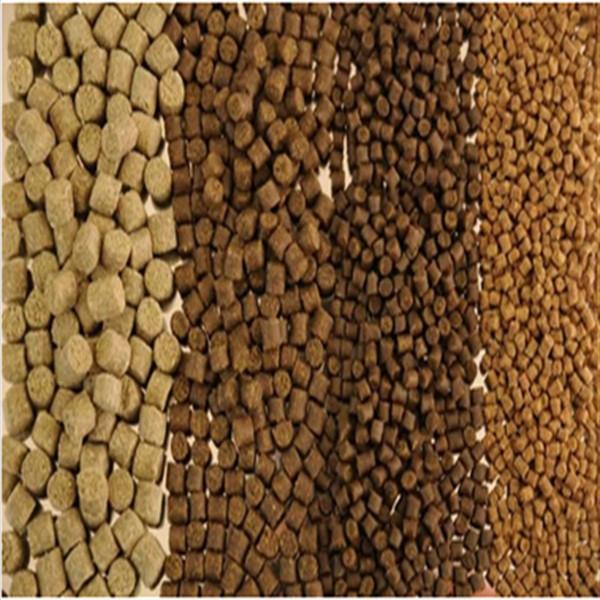 dry type floating fish pellet feed extrusion alimentation animale pellet machine