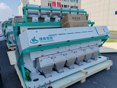 China 4-8 máquina del clasificador del color del grano de la t/h con 6/384 exactitud de los canales inclinados el ≥99.99% en venta