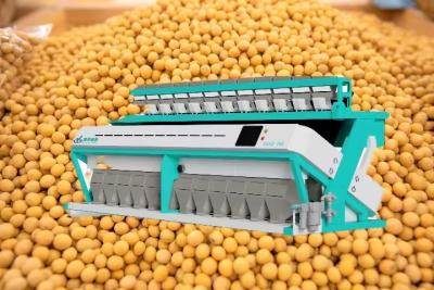 China High Yield Soybean Sorting Machine 11T/H-19T/H Grain Colour Sorter Machine for sale