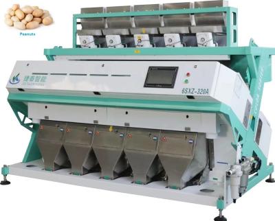 China CCD Camera Walnut Kernel Nuts Color Sorter Bean Sorting Machine for sale