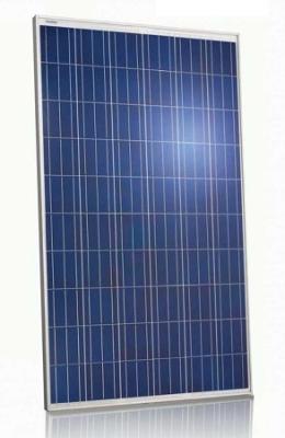 China White Frame Polycrystalline PV Module 240 Watt With Self - Cleaning Function for sale