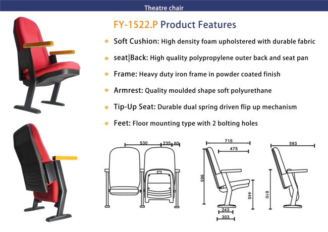 Modern theater seating with aisle panels