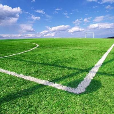 China Football Field Synthetic Artificial Grass Anti UV For Landscaping Decoration OEM ODM for sale