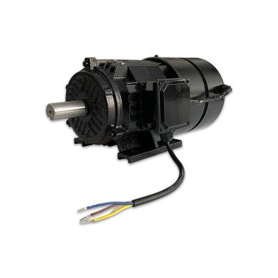 China Seamless Magnetic Driven Motor B3 / B35 Installation Mode PMSM Motor for sale