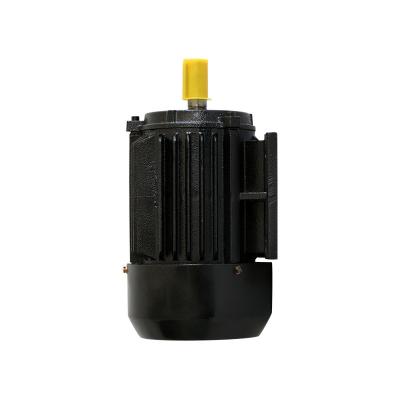 China Flexible S1 Permanent Magnet AC Motor Pmac Electric Motor For Various Industries for sale