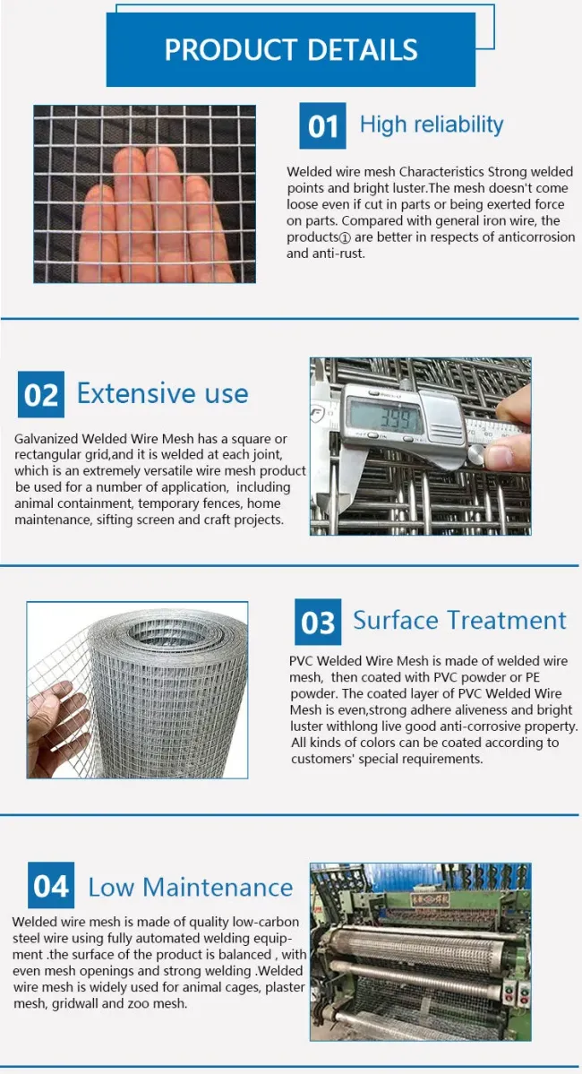 Factory Sale 100 X 100mm Galvanized Silver Welded Wire Mesh for Farm