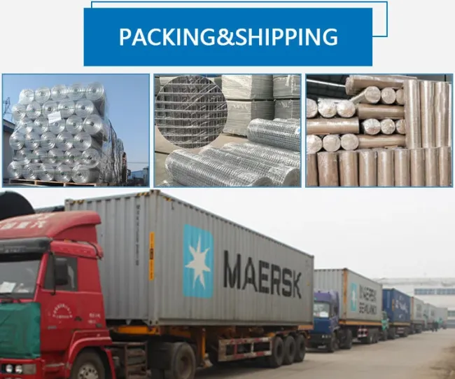 Factory Sale 100 X 100mm Galvanized Silver Welded Wire Mesh for Farm