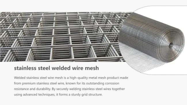 Galvanized Powder Coated Welded Wire Mesh Stainless Steel Wire Mesh Use as a Vegetable and Fruit Stand