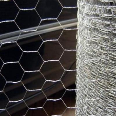 China Galvanized Weave Mesh Hexagonal Wire Netting 8.0mm for sale