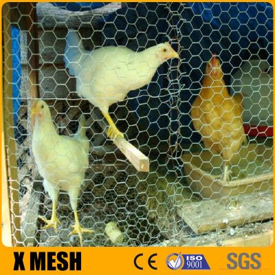 China Hexagonal Chicken Hex Wire Mesh Nettting Galvanized Weave Mesh 0.3mm for sale