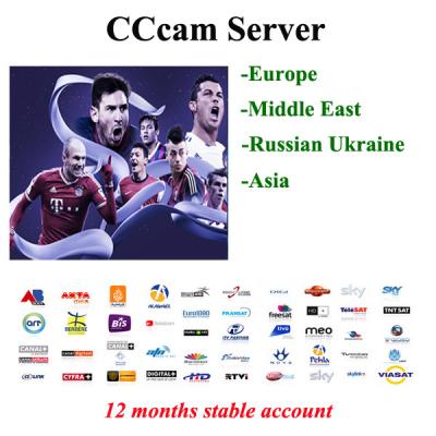 China Cccam Cline Server For Openbox,Skybox,Dreambox support sky uk,Germany, Italian etc. for sale