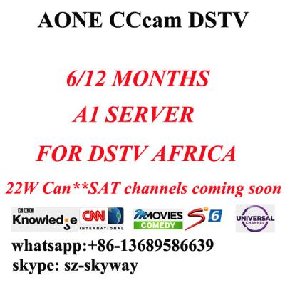 China 6 month/One year A1 cccam account Aone account A-one All in one account for dstv for sale