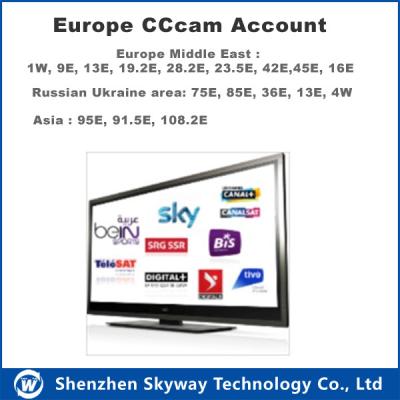 China 1 year Cccam account for Europe countries stable for sale
