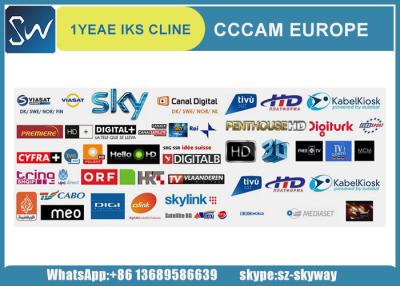 China 19.2 E cccam cline account/iks line cccam account for Europe decoder/ cline Cccam for sale