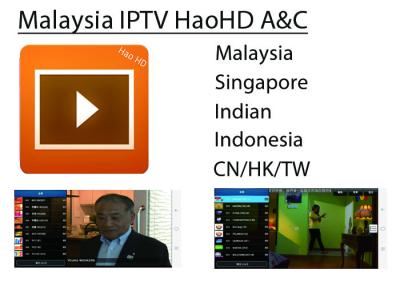 China HAOHD IPTV Malaysia Singapore Live Channel Subscription For android TV BOX for sale