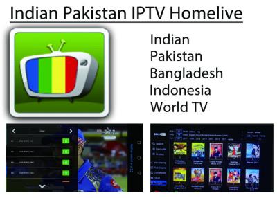 China Homelive apk iptv Indian Pakistan Bangladesh world tv channels and Bolly-tube VOD movie stable for android smart tv box for sale