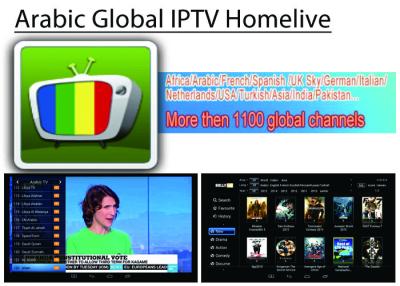 China IPTV Subscription Arabic OSN UK Spain German Italy Portugal USA Global 1100+ Live + VOD Smart TV Android APK IPTV for sale
