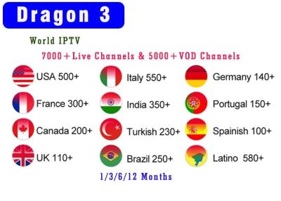 China Brazil Iptv Smart Tv 7000+Live & 2000+VOD Europe IPTV Channels Iptv Subscription Great Bee Arabic Iptv Htv Rtv Box for sale