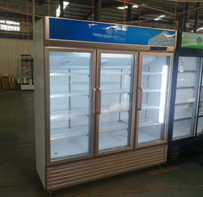 Stainless Steel Beverage Glass Door Display Freezer Refrigerated Cold Beer Drink 4