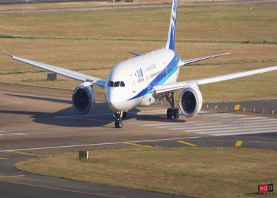 China Enfei Carrier Servicios de consultoría en seguros para el transporte aéreo internacional de mercancías en venta