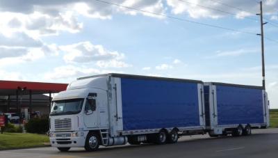 China Serviços internacionais de transporte de mercadorias por caminhão com a FBA à venda