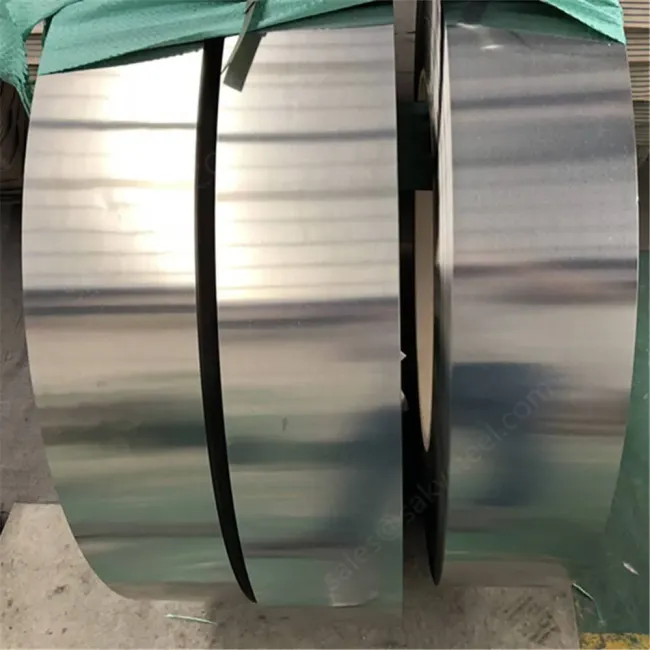 Hot/Cold Rolled 304 304L 316 316L 317 321 309S Stainless Steel Roll Strip