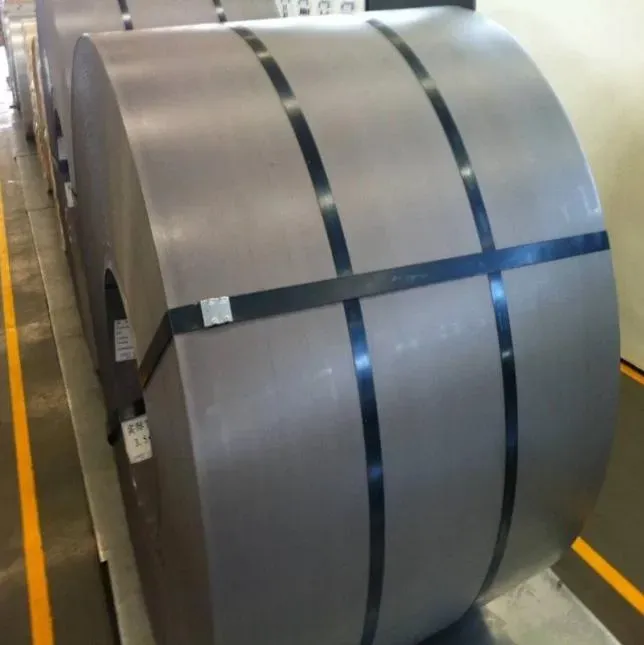 Customs Security Manufacturers of Hot Rolled Carbon Steel Coils for Construction