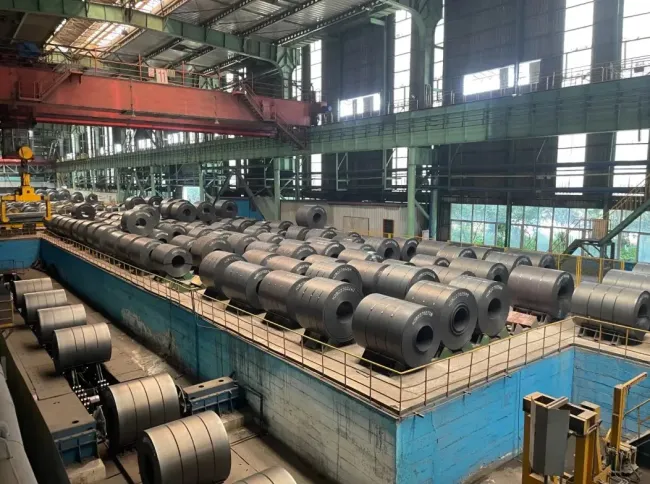 Customs Security Manufacturers of Hot Rolled Carbon Steel Coils for Construction