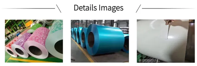 Prepainted Steel Coil Manufacturer Offering Quality PPGI Solutions