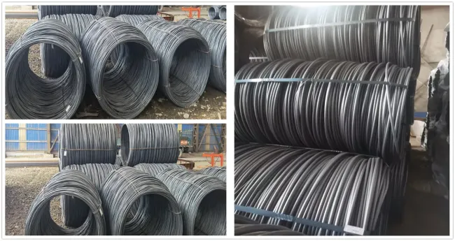Different Size Good Price SAE1008 5.5mm Steel Wire Rod in Coils for Construction Steel Wire Rod