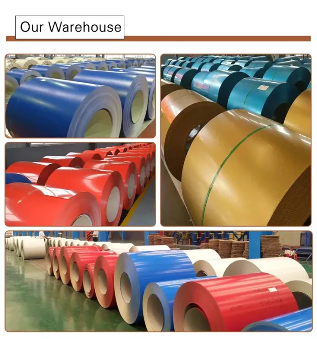 Hot Sell Galvanized Coil Galvalume Coil Galvanized PPGI/PPGL Dx52D Dx53D Dx54D Color Coated Roll