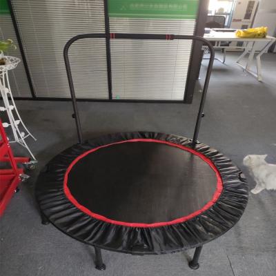 China Foldable Fitness Trampoline for Indoor and Outdoor Jump Exercise Portable Design for sale