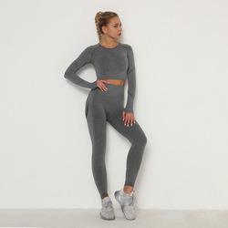 Women′s Seamless Breathable Long Sleeve Yoga Sportswear Sport Suit Clothes Gym Wear Set Fitness Yoga Wear 2023