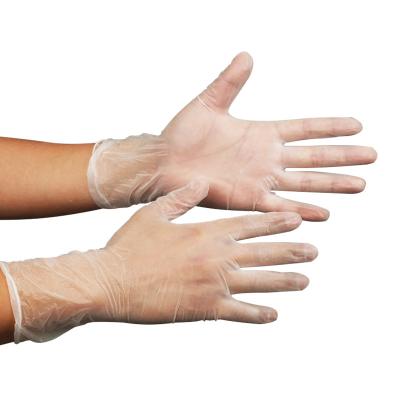 中国 Cleanroom Gloves Disposable Powder Free ESD PVC Glove 販売のため