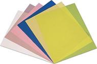 China La película de papel de pulido del lapping de la fibra óptica de encargo cubre las placas y las esteras en venta